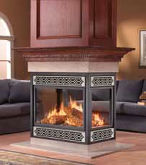 BGD40G Napoleon Gas Fireplace BGD40G Napoleon Gas Fireplace