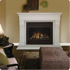 GD36NTR Napoleon Gas Fireplace GD36NTR Napoleon Gas Fireplace