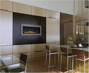 LHD45 Linear Napoleon Direct Vent Gas Fireplace LHD45 Napoleon Linear Direct Vent Gas Fireplace